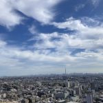 ヴィナシス金町タワーレジデンス2705号室 画像19